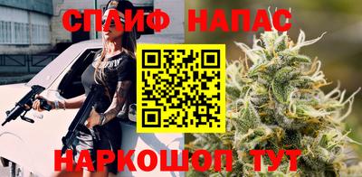 PSILOCYBIN Нальчик