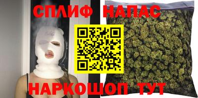 сатива Нарткала