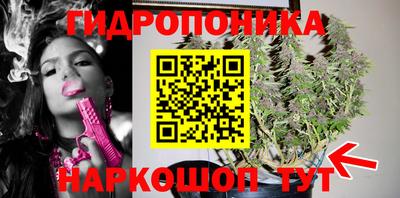PSILOCYBIN Нальчик